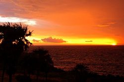 Roatan, Honduras. by Shawn Jackson 